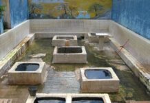 கன்னியா வெந்நீரூற்று வருமான விவகாரம்: உள்ளூர் அதிகாரசபையின் உரிமைகள் மறுக்கப்படுதாக விசனம்