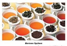 சவால்களுக்கு மத்தியில் சர்வதேசச் சந்தையை ஆளும் ‘சிலோன் டீ’! : மருதன் ராம்