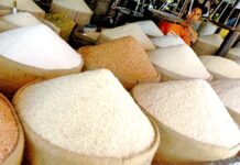 சந்தையில் நிலவும் சம்பா, கீரி சம்பா தட்டுப்பாட்டுக்குத் தீர்வாக மாற்று அரிசிகளை இறக்குமதி செய்ய அரசாங்கம் தீர்மானம்