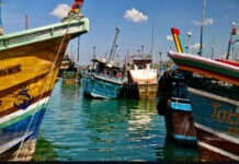 மீனவர்களுக்கு எரிபொருள் மானியம் வழங்க அமைச்சரவை அங்கீகாரம் !