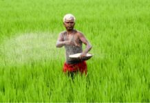 உர விநியோக நிலைவரம் குறித்து : பிரதி அமைச்சர் தகவல்