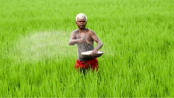உர விநியோக நிலைவரம் குறித்து : பிரதி அமைச்சர் தகவல்