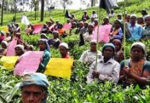 அரசாங்கத்தின் ‘விசேட திட்டம்’ இதுவரை இழைக்கப்பட்ட துரோகத்திற்கான பரிகாரமா? : மருதன் ராம்