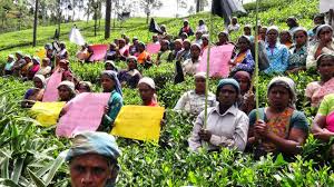 அரசாங்கத்தின் ‘விசேட திட்டம்’ இதுவரை இழைக்கப்பட்ட துரோகத்திற்கான பரிகாரமா? : மருதன் ராம்