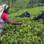 ஈரான் போர் இலங்கையின் அழுத்தத்தை ஏற்படுத்துகிறது