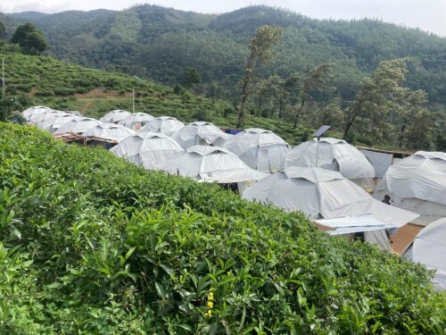 சீரற்ற வானிலை : ஹக்கலையில் கூடாரங்களில் வாழும் 23 குடும்பங்கள்!