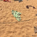 தமிழரின் அடையாளமே முள்ளிவாய்க்கால் : மட்டு.நகரான்