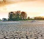 எல்-நினோ நிலைமை குறித்து நலிந்த விளக்கம்