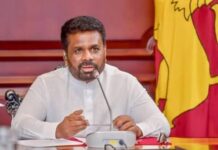 வடக்கு, கிழக்கு கரையோரப் பகுதிகளைப் பாதுகாக்க நடவடிக்கை