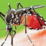 இலங்கையில் டெங்கு நோயின் தாக்கத்தால் உயிரிழப்புகள் அதிகரிப்பு