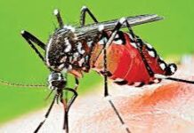 இலங்கையில் டெங்கு நோயின் தாக்கத்தால் உயிரிழப்புகள் அதிகரிப்பு