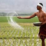 விவசாயிகளின் பிரச்சினையே நாட்டின் தேசியப் பிரச்சினை!