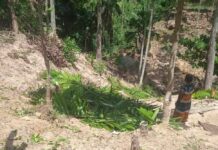 பசறை – ஹொப்டனிலும் முகாமையாளர்கள் அராஜகம்