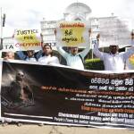 செம்மணி மனிதப் புதைகுழி : கொழும்பில் கவனயீர்ப்புப் போராட்டம்