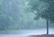 எல் நினோ தாக்கம் : சராசரியை விட அதிக மழைக்கு வாய்ப்பு