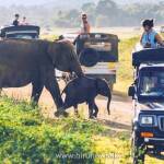 சுற்றுலாப் பயணிகளுக்கு முக்கிய அறிவிப்பு