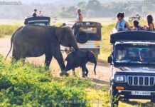 சுற்றுலாப் பயணிகளுக்கு முக்கிய அறிவிப்பு