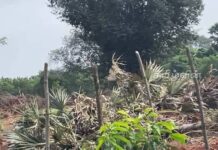 வலி.வடக்கில் விவசாய நடவடிக்கைக்காக விடுவிக்கப்பட்ட காணிகளில் வீடுகளை கட்ட முடியும் என அறிவிப்பு