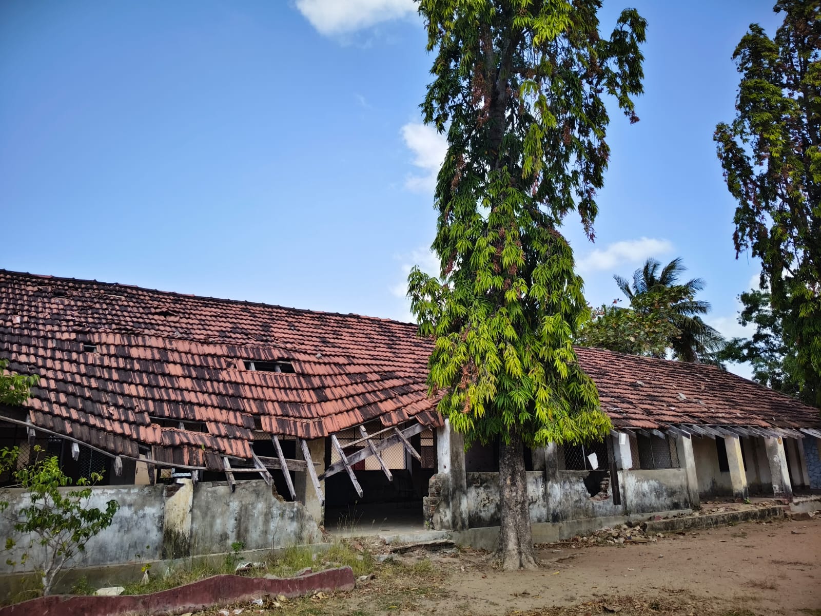 இடிந்து விழும் நிலையில் பாடசாலை கட்டடங்கள்! 1 https://www.ilakku.org/wp-content/uploads/2021/08/cropped-Google_Logo.png IMG 20260801 WA0110 இடிந்து விழும் நிலையில் பாடசாலை கட்டடங்கள்!