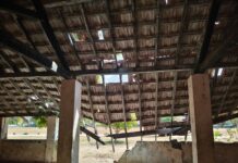 இடிந்து விழும் நிலையில் பாடசாலை கட்டடங்கள்!