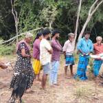 வவுனியாவில் கையகப்படுத்தப்பட்டுள்ள விவசாயக் காணிகளை விடுவிக்குமாறு வலியுறுத்தல்