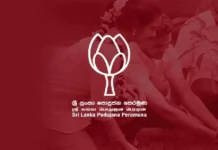 தேசிய மக்கள் சக்தி ஒற்றை கட்சி ஆட்சி முறையை நோக்கி நகர்கிறதா என்று சந்தேகம் : பொதுஜன பெரமுன குற்றச்சாட்டு