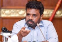இலங்கையில் 75 புதிய எரிபொருள் நிரப்பு நிலையங்களை நிறுவ நடவடிக்கை – ஜனாதிபதி அறிவிப்பு